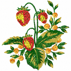 Strawberry Embroidery Design 10 Strawberry Embroidery Design 10